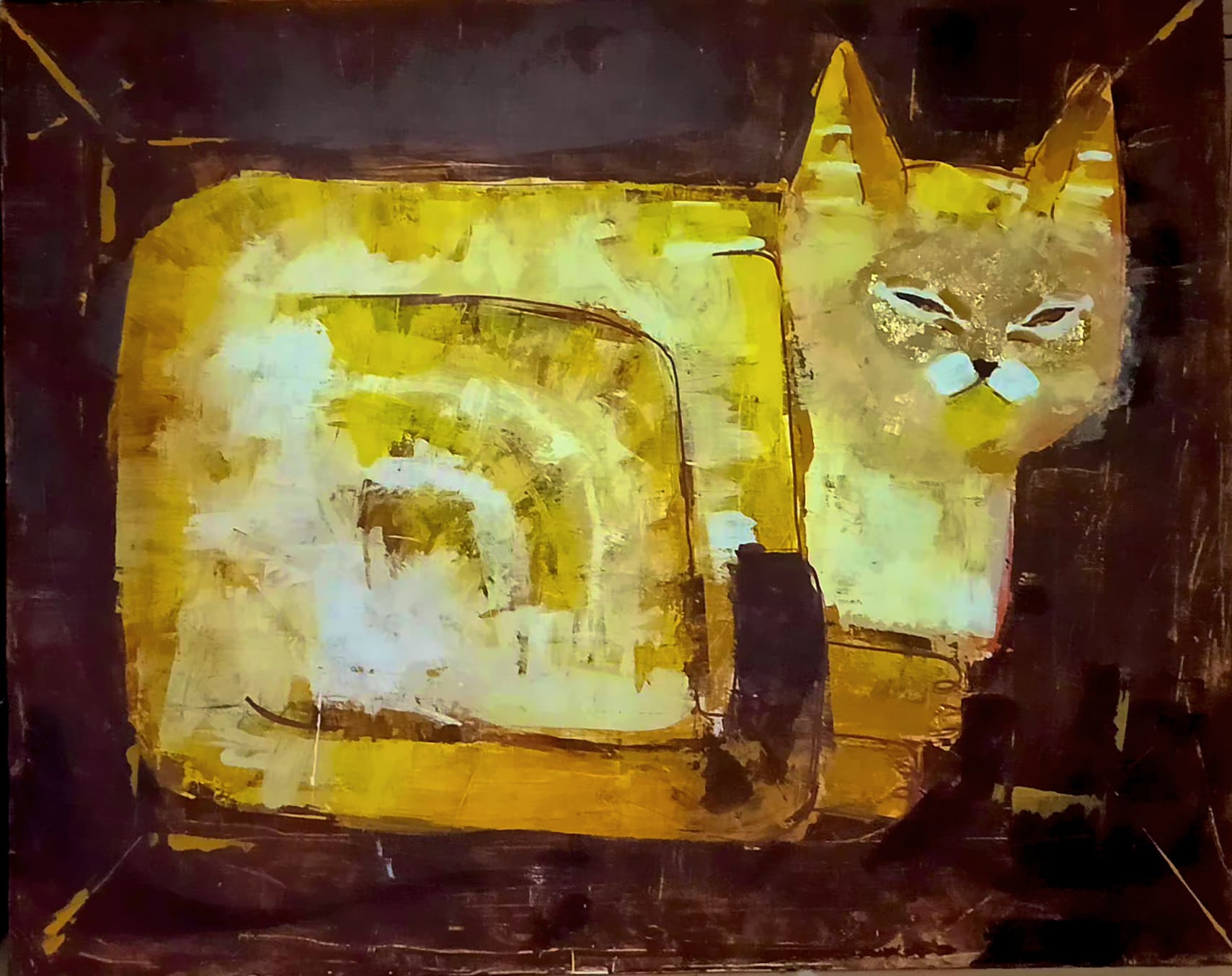 Kutu İçinde Sarı Kedi